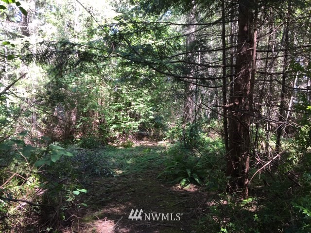-xxx Xxx Cronquist Road Allyn, WA 98524 - Photo 14 of 25 Gallery Image 14