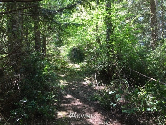 -xxx Xxx Cronquist Road Allyn, WA 98524 - Photo 15 of 25 Gallery Image 15
