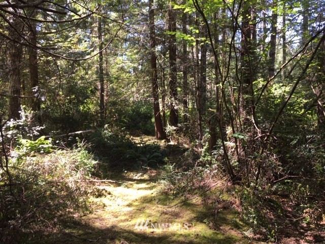 -xxx Xxx Cronquist Road Allyn, WA 98524 - Photo 16 of 25 Gallery Image 16