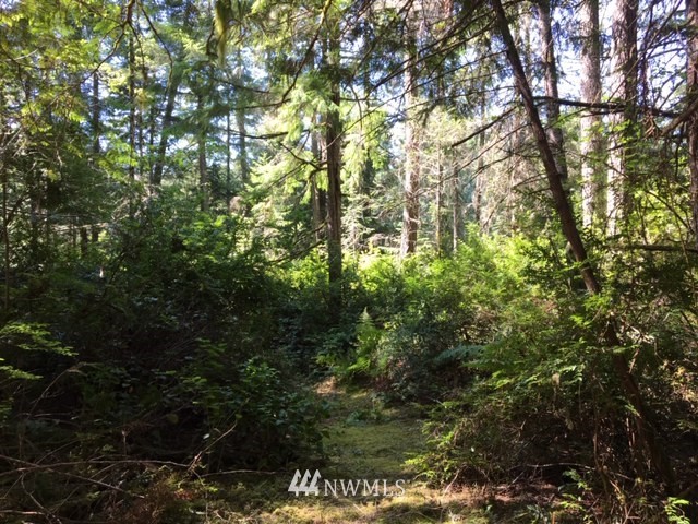 -xxx Xxx Cronquist Road Allyn, WA 98524 - Photo 18 of 25 Gallery Image 18