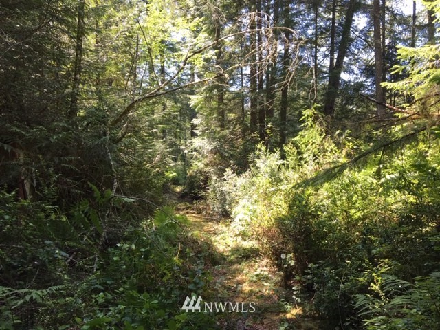 -xxx Xxx Cronquist Road Allyn, WA 98524 - Photo 19 of 25 Gallery Image 19