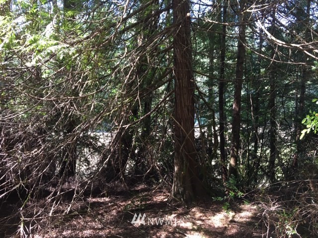 -xxx Xxx Cronquist Road Allyn, WA 98524 - Photo 20 of 25 Gallery Image 20