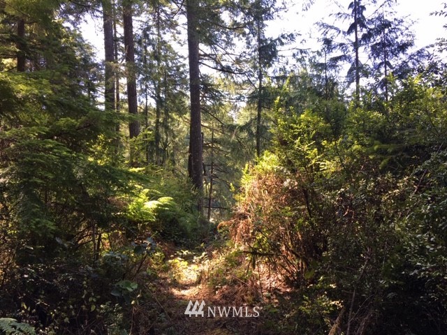 -xxx Xxx Cronquist Road Allyn, WA 98524 - Photo 21 of 25 Gallery Image 21