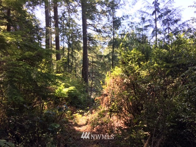 -xxx Xxx Cronquist Road Allyn, WA 98524 - Photo 22 of 25 Gallery Image 22