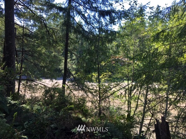 -xxx Xxx Cronquist Road Allyn, WA 98524 - Photo 23 of 25 Gallery Image 23