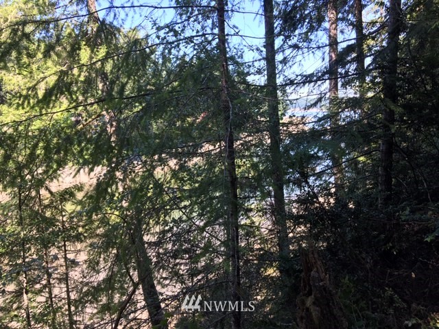 -xxx Xxx Cronquist Road Allyn, WA 98524 - Photo 24 of 25 Gallery Image 24