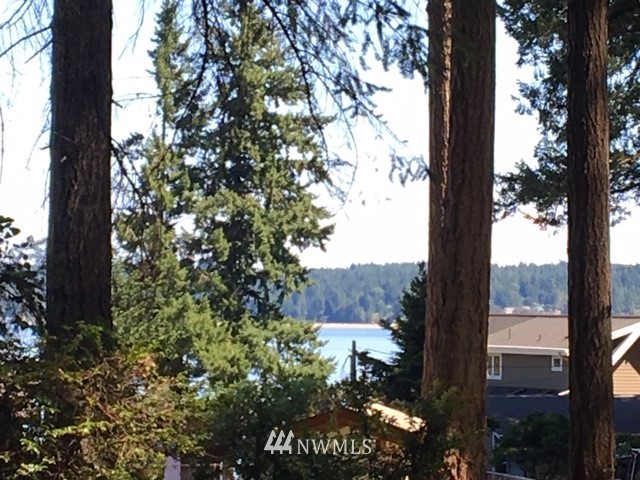 -xxx Xxx Cronquist Road Allyn, WA 98524 - Photo 8 of 25 Gallery Image 8