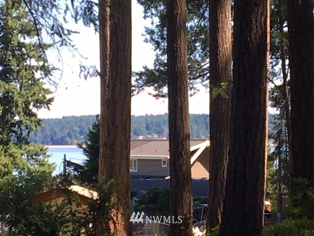 -xxx Xxx Cronquist Road Allyn, WA 98524 - Photo 9 of 25 Gallery Image 9