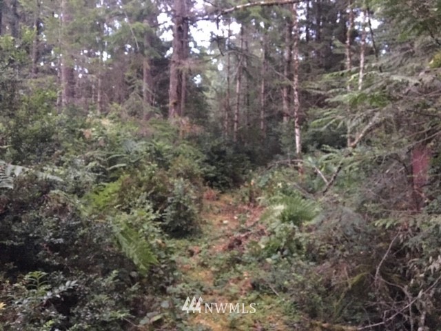 -xxx Xxx Cronquist Road Allyn, WA 98524 - Photo 10 of 25 Gallery Image 10