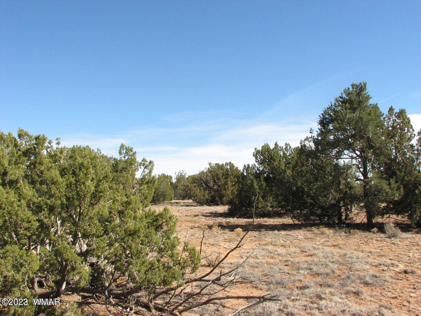 12 T14n R16e:nw4 Sw4 Heber, AZ 85928 - Photo 1 of 2
