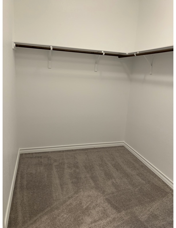 11715 Caithness Way Austin, TX 78653 - Photo 36 of 40 Walk in closet with dark carpet