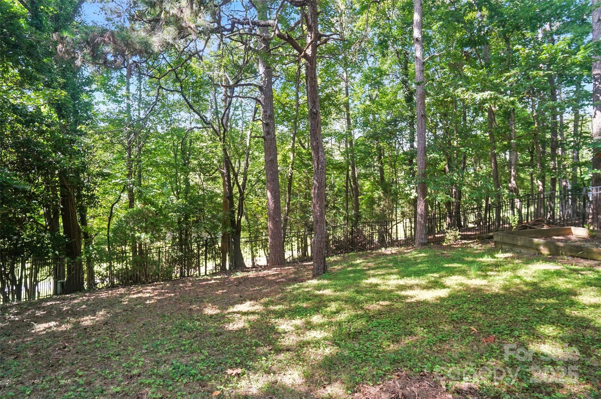 16031 Samoa Court Tega Cay, SC 29708 - Photo 46 of 48 Gallery Image 46