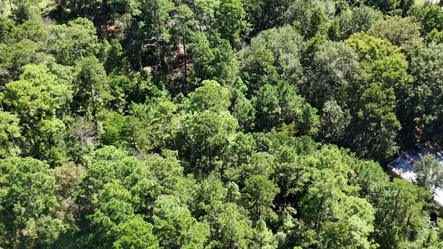an outdoor view of a yard