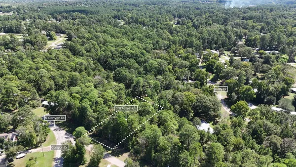an aerial view of street and trees