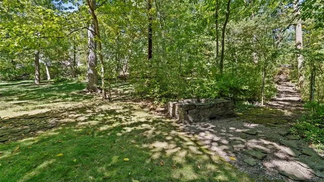 a big yard with lots of green space and deers