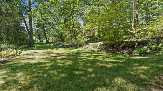 a view of a forest with trees