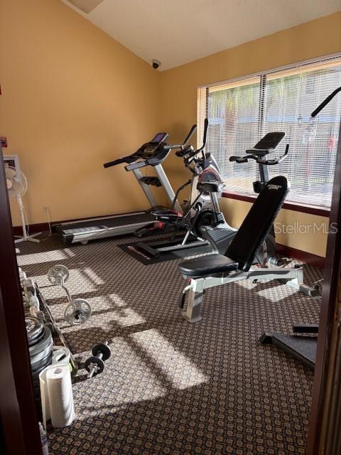 1550 South Belcher Road, Unit 211 Clearwater, FL 33764 - Photo 24 of 26 a room with gym equipment