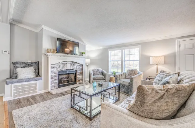 a living room with furniture and a fireplace