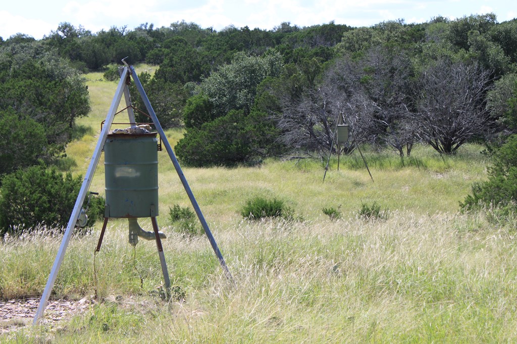 0 Dominion Road Rocksprings, TX 78880 - Photo 16 of 27 a backyard of a house with lots of green space and trees