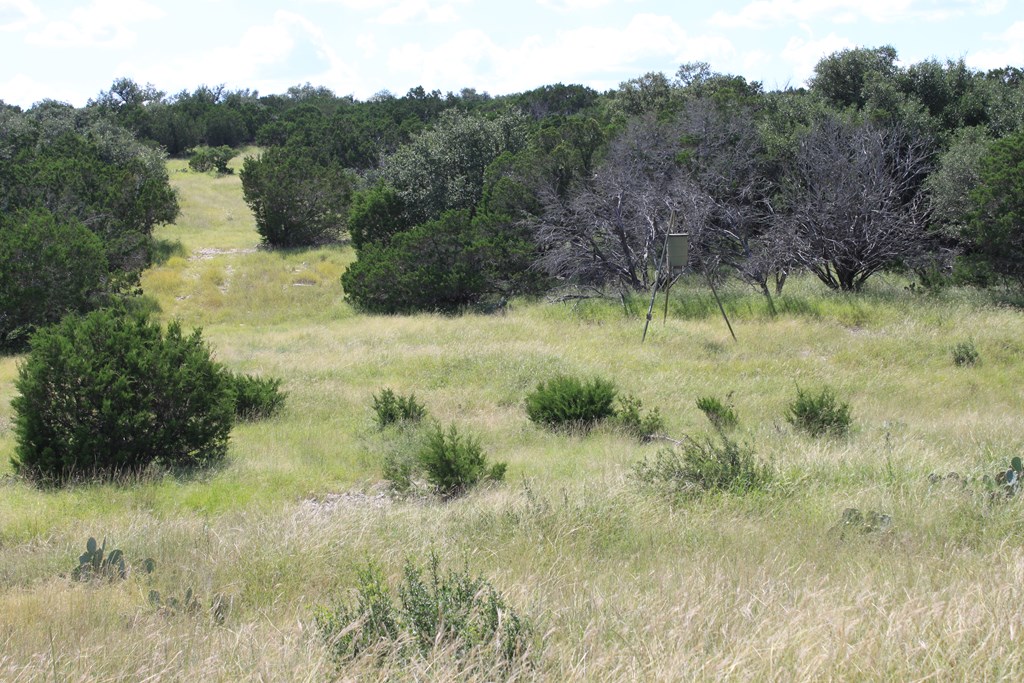 0 Dominion Road Rocksprings, TX 78880 - Photo 18 of 27 a view of a lush green forest with a lake