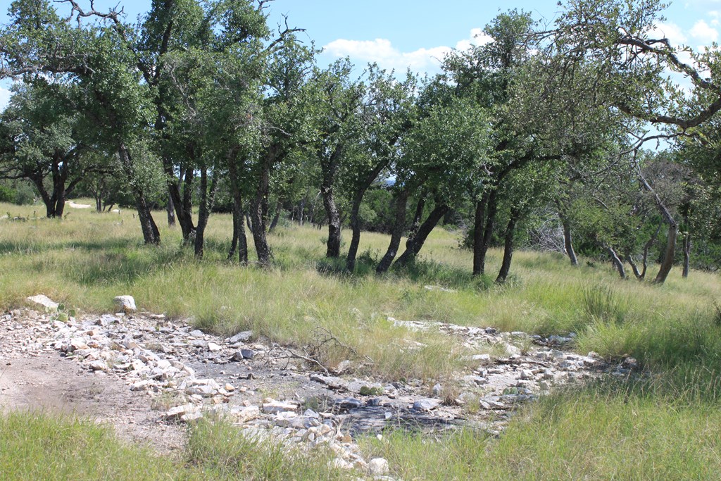 0 Dominion Road Rocksprings, TX 78880 - Photo 19 of 27 a view of a lake view