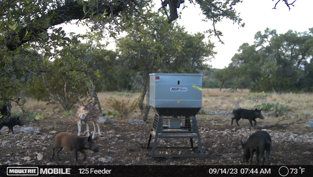 0 Dominion Road Rocksprings, TX 78880 - Photo 26 of 27 a front view of a house with garden