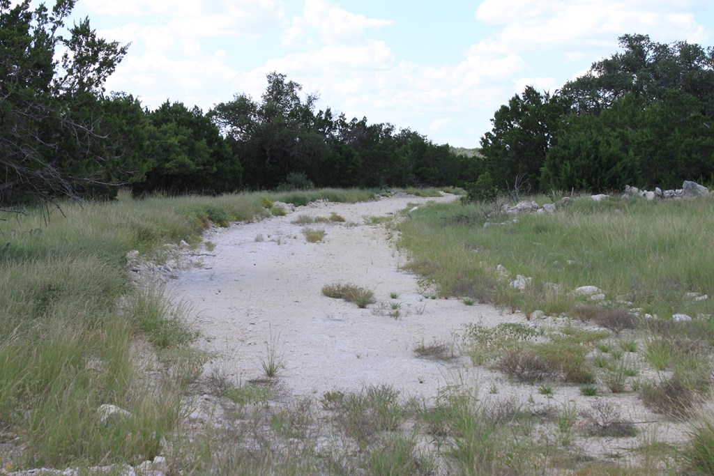 0 Dominion Road Rocksprings, TX 78880 - Photo 3 of 27 a view of a lake with a forest