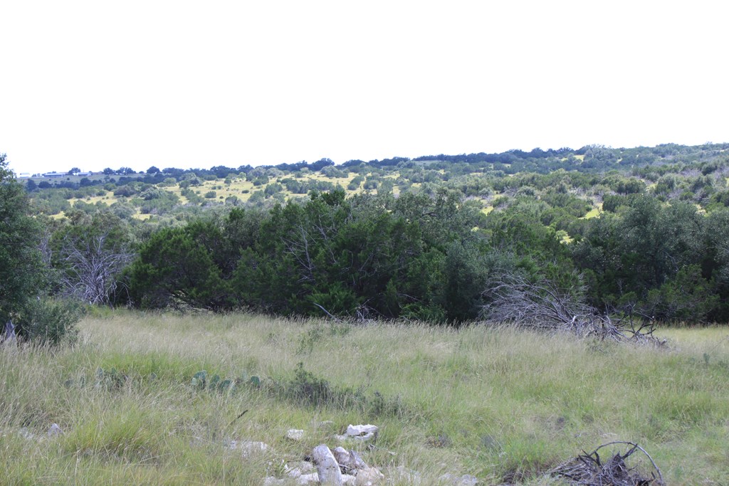 0 Dominion Road Rocksprings, TX 78880 - Photo 4 of 27 a view of a valley