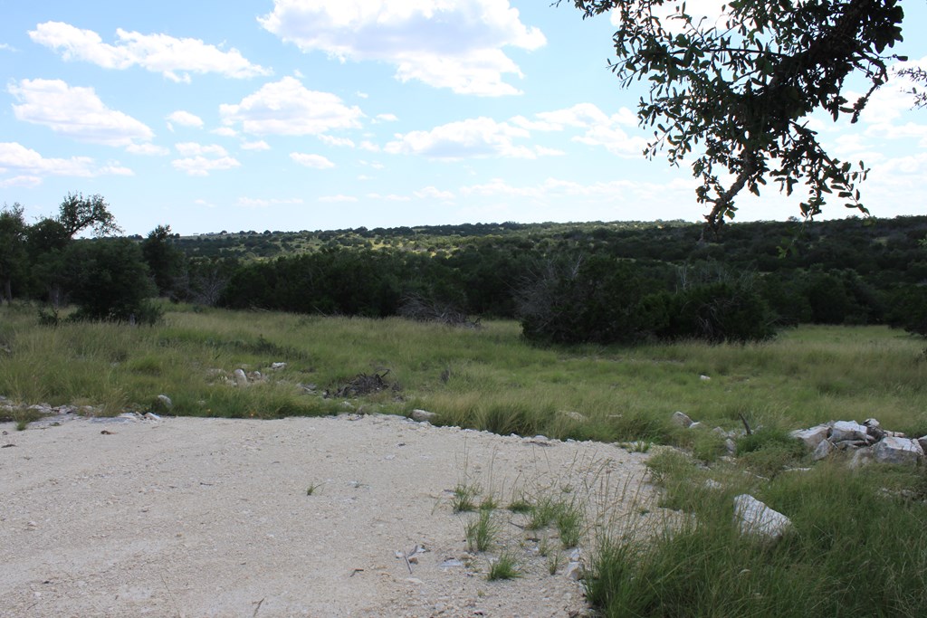 0 Dominion Road Rocksprings, TX 78880 - Photo 7 of 27 a view of a field with a tree in it