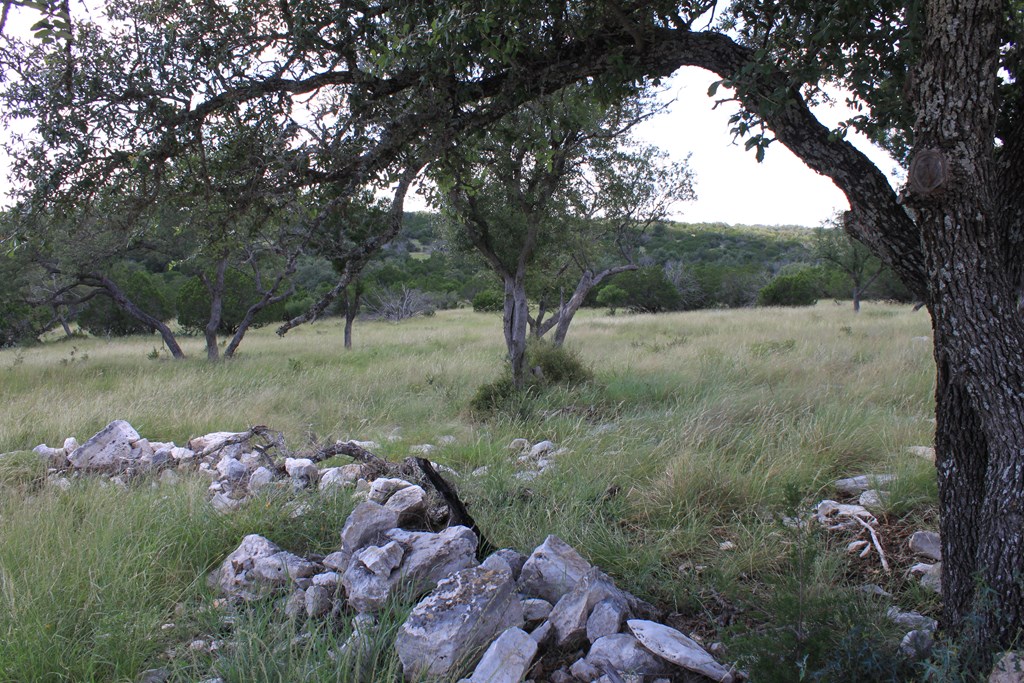 0 Dominion Road Rocksprings, TX 78880 - Photo 8 of 27 a view of a lake from a yard