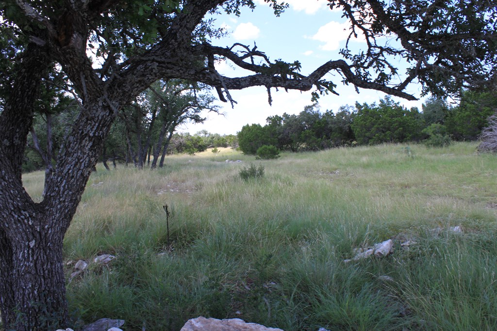 0 Dominion Road Rocksprings, TX 78880 - Photo 9 of 27 a view of a lush green forest