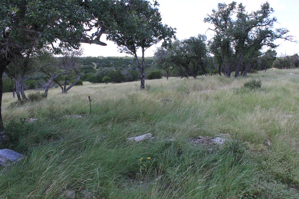 0 Dominion Road Rocksprings, TX 78880 - Photo 10 of 27 a view of a forest