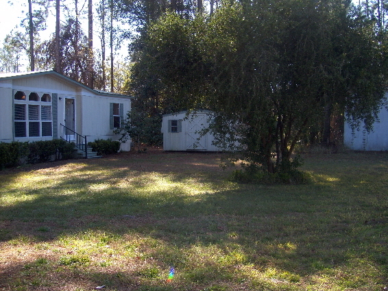 212 Osceola Road Georgetown, FL 32139 - Photo 5 of 7 shed