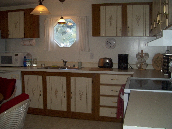 212 Osceola Road Georgetown, FL 32139 - Photo 7 of 7 KITCHEN