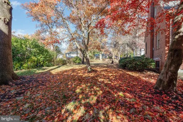 a view of outdoor space and yard