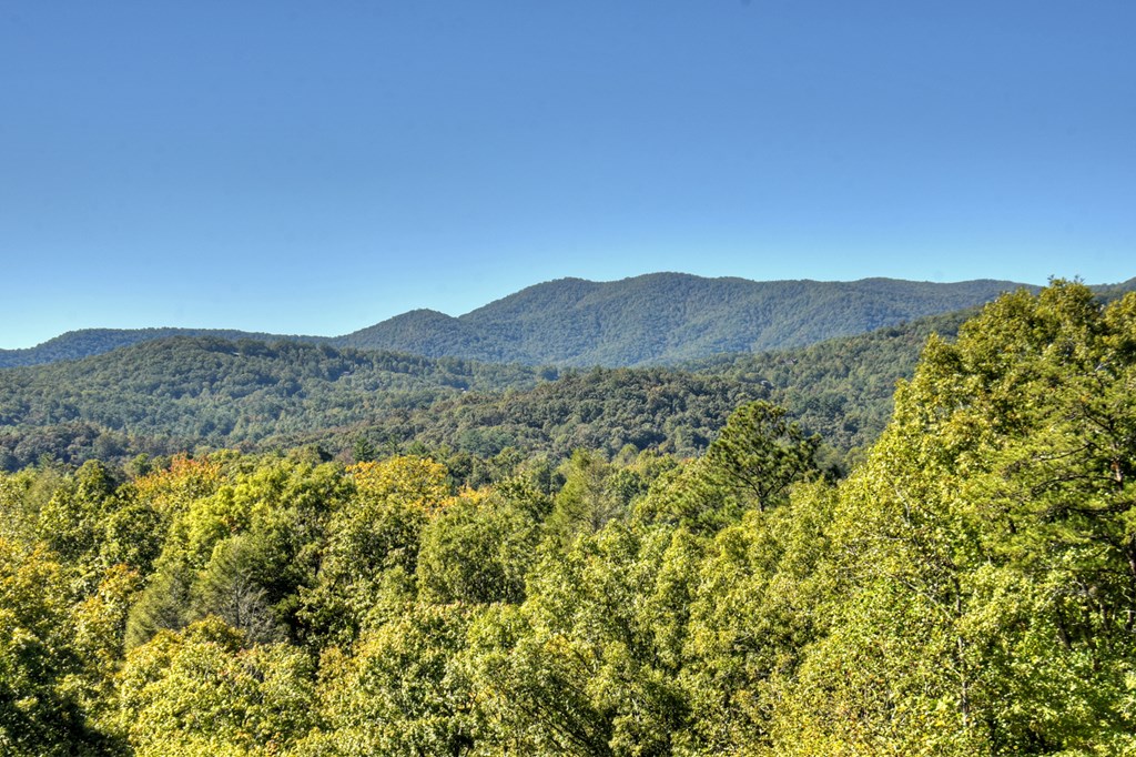 509 Settler's Ridge Road Ellijay, GA 30540 - Photo 44 of 75