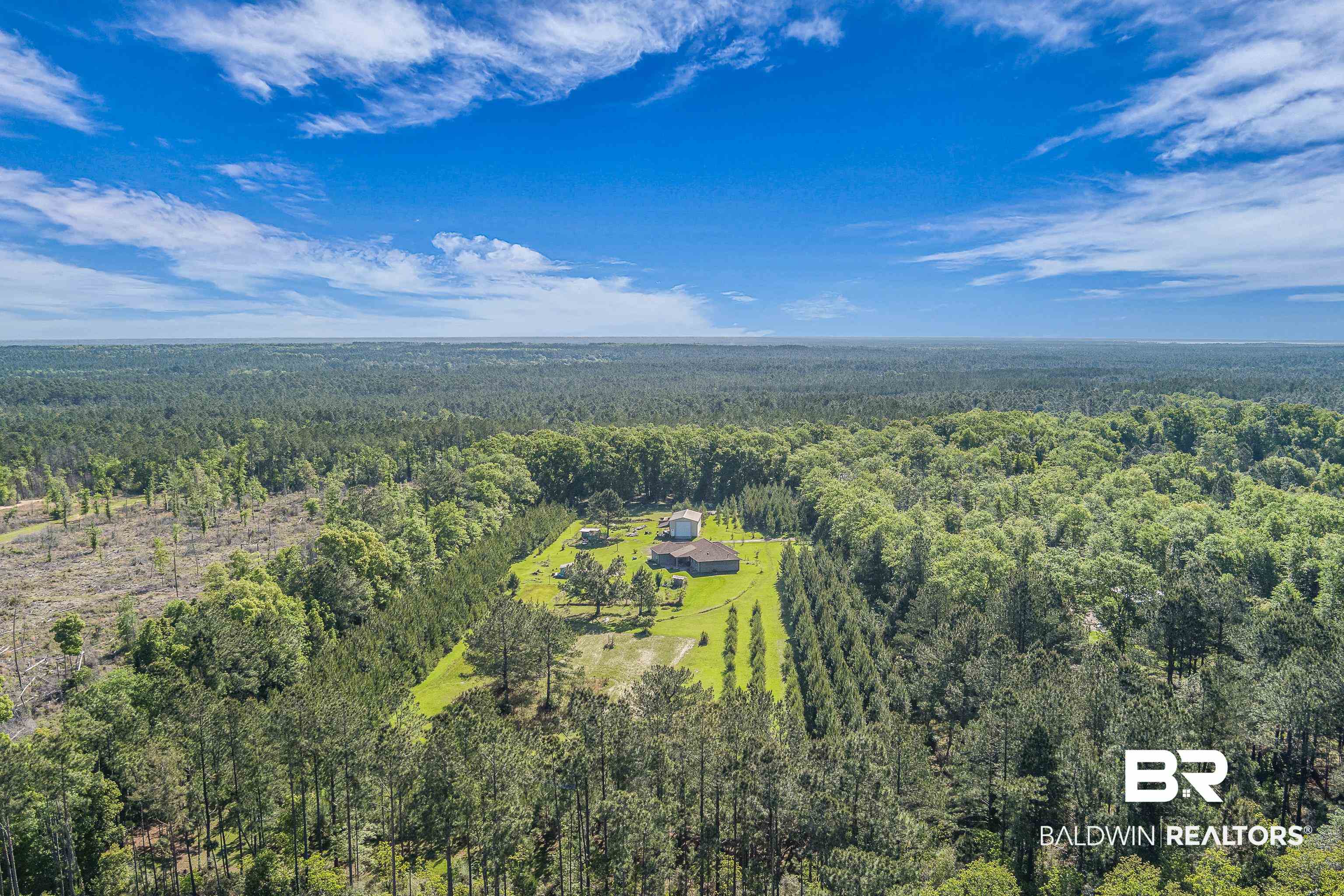 18255 Cactus Court Elberta, AL 36530 - Photo 45 of 53 Aerial view of a forest