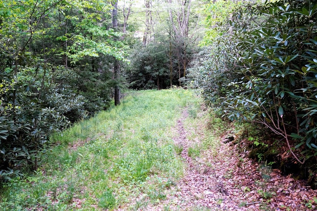 2 Dolinger Road, Unit 2D&2G Whitetop, VA 24292 - Photo 5 of 22 Gallery Image 5