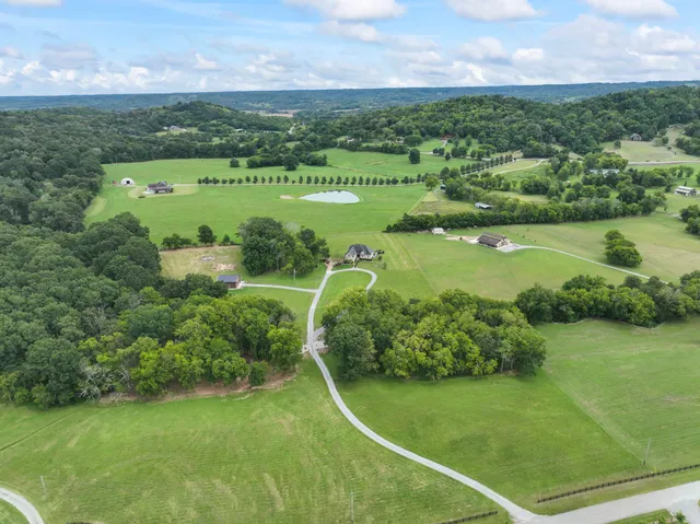 a view of a garden with an outdoor space