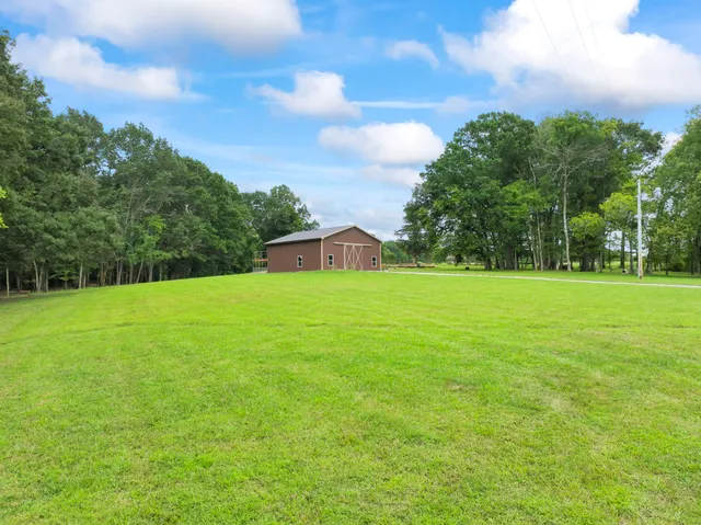 a view of a green field with clear sky