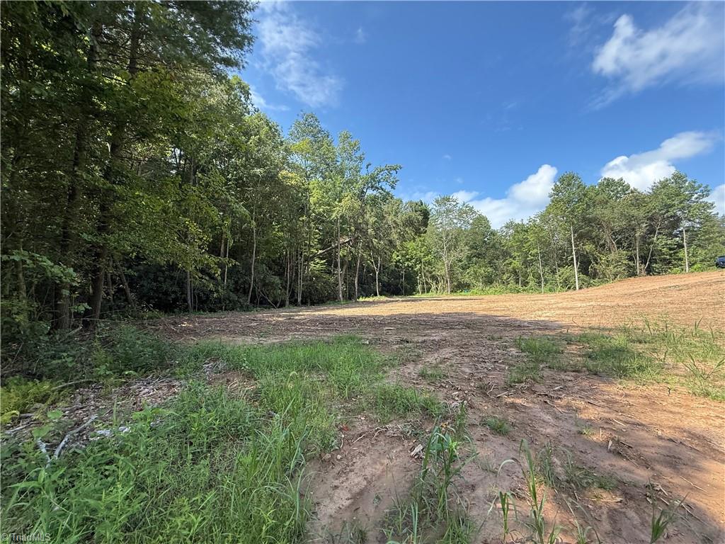 Tbd Mountain Ridge Church Road Taylorsville, NC 28681 - Photo 17 of 17