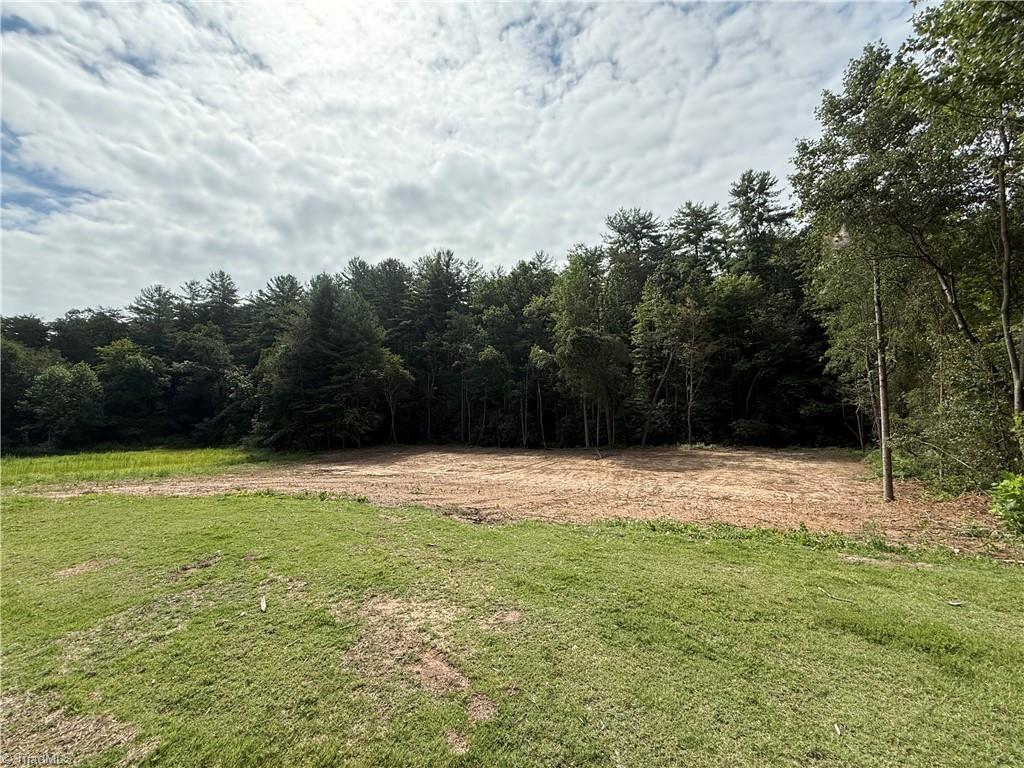 Tbd Mountain Ridge Church Road Taylorsville, NC 28681 - Photo 3 of 17