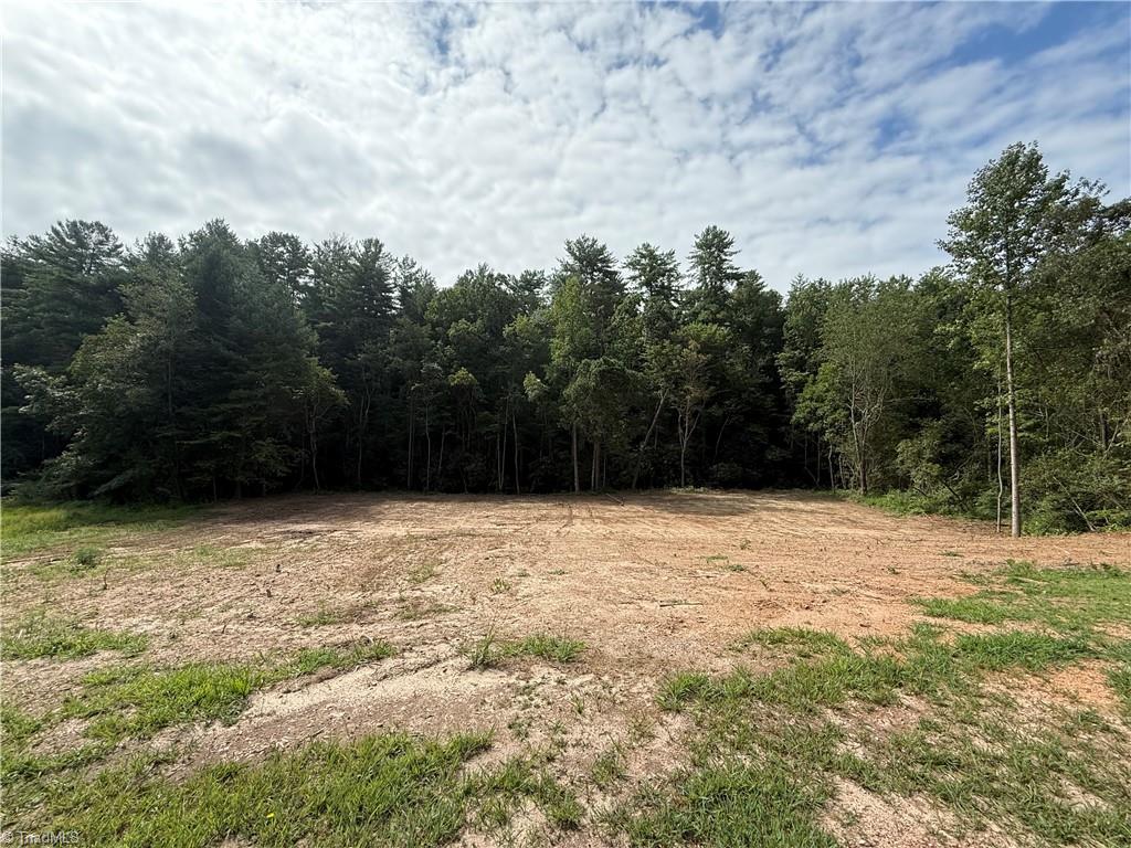 Tbd Mountain Ridge Church Road Taylorsville, NC 28681 - Photo 4 of 17