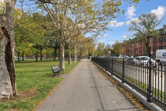a view of a park with large trees