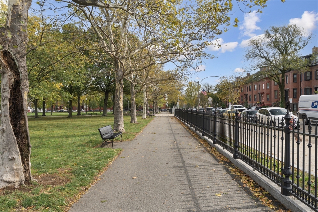 52 O Street, Unit 3 Boston, MA 02127 - Photo 18 of 20 a view of a park with large trees