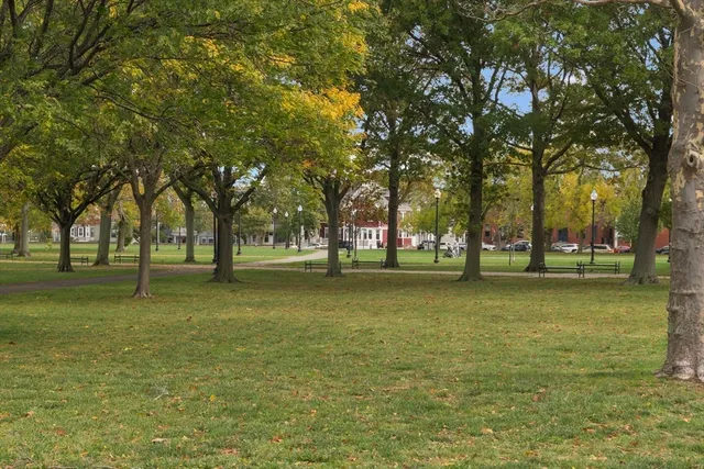 a view of a trees in a park