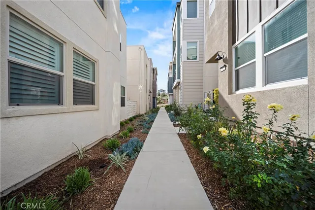 a view of a pathway along with potted plants