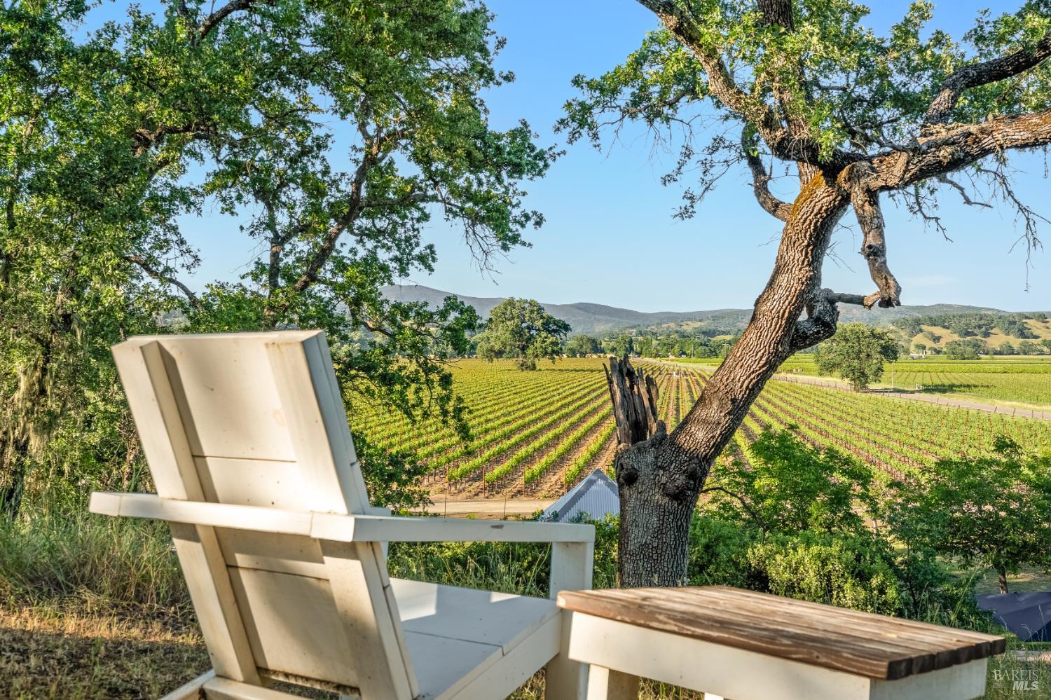 1785 Pope Canyon Road St. Helena, CA 94574 - Photo 24 of 30