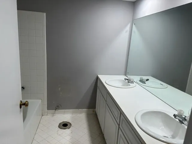 a bathroom with a sink and mirror