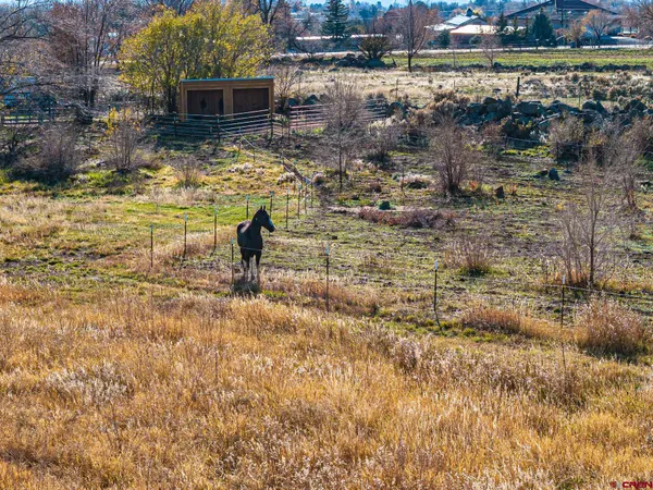 a view of a dry yard with wooden fence and floor